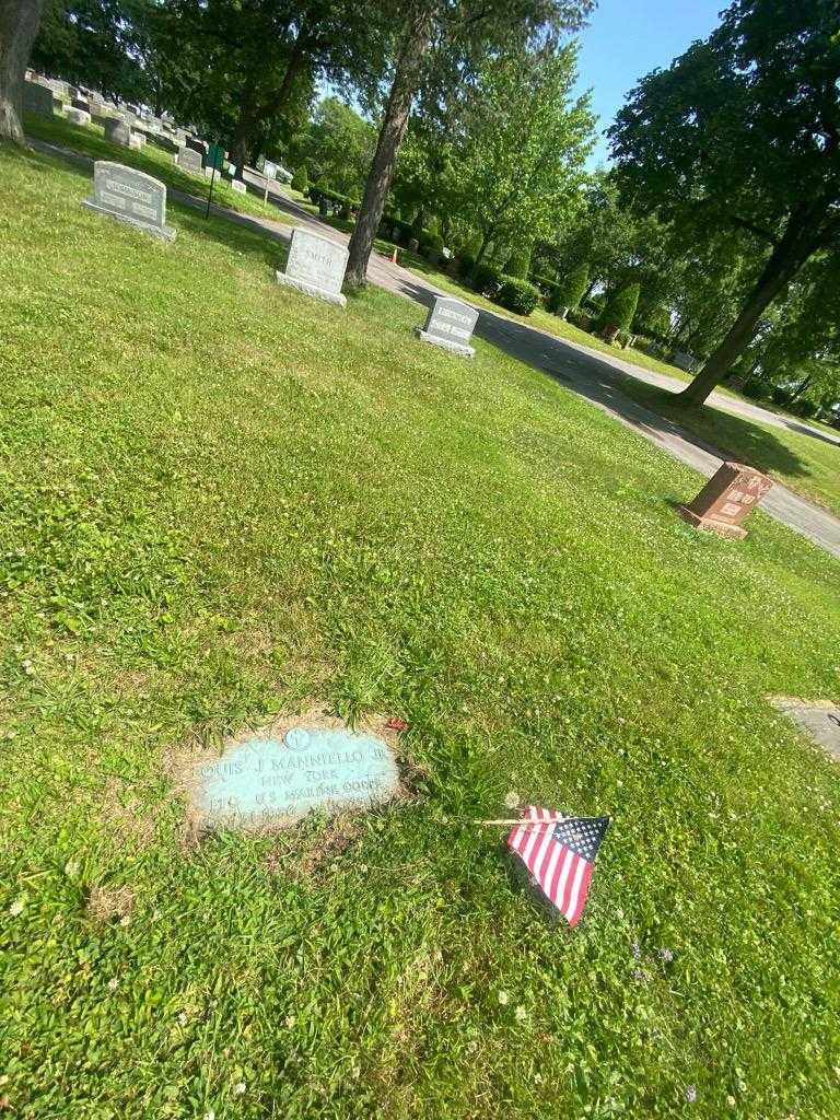 Louis J. Manniello Junior's grave. Photo 1