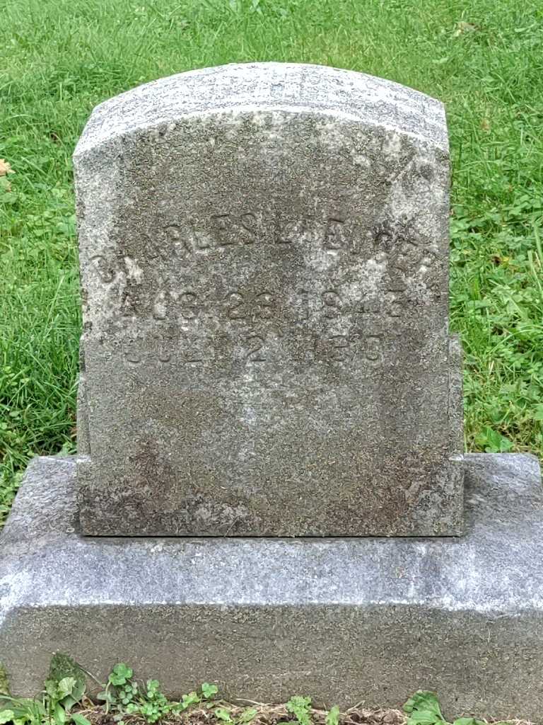 Charles Laeuger's grave. Photo 3