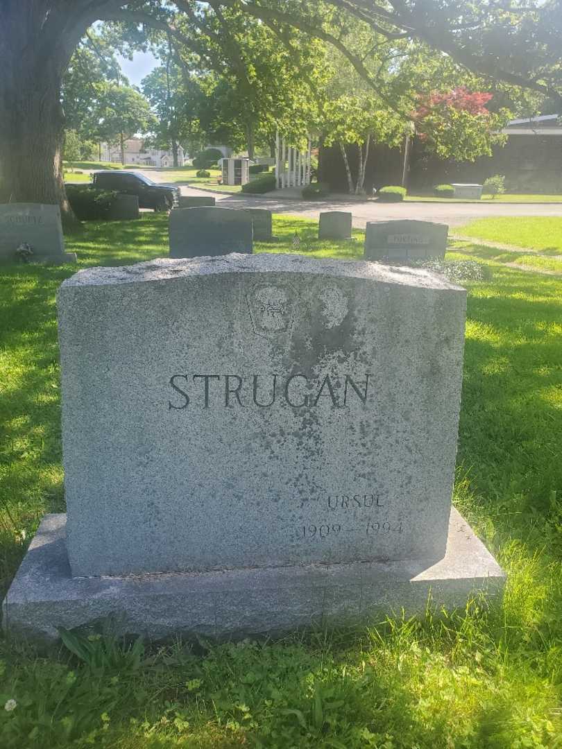 Ursul Strugan's grave. Photo 2