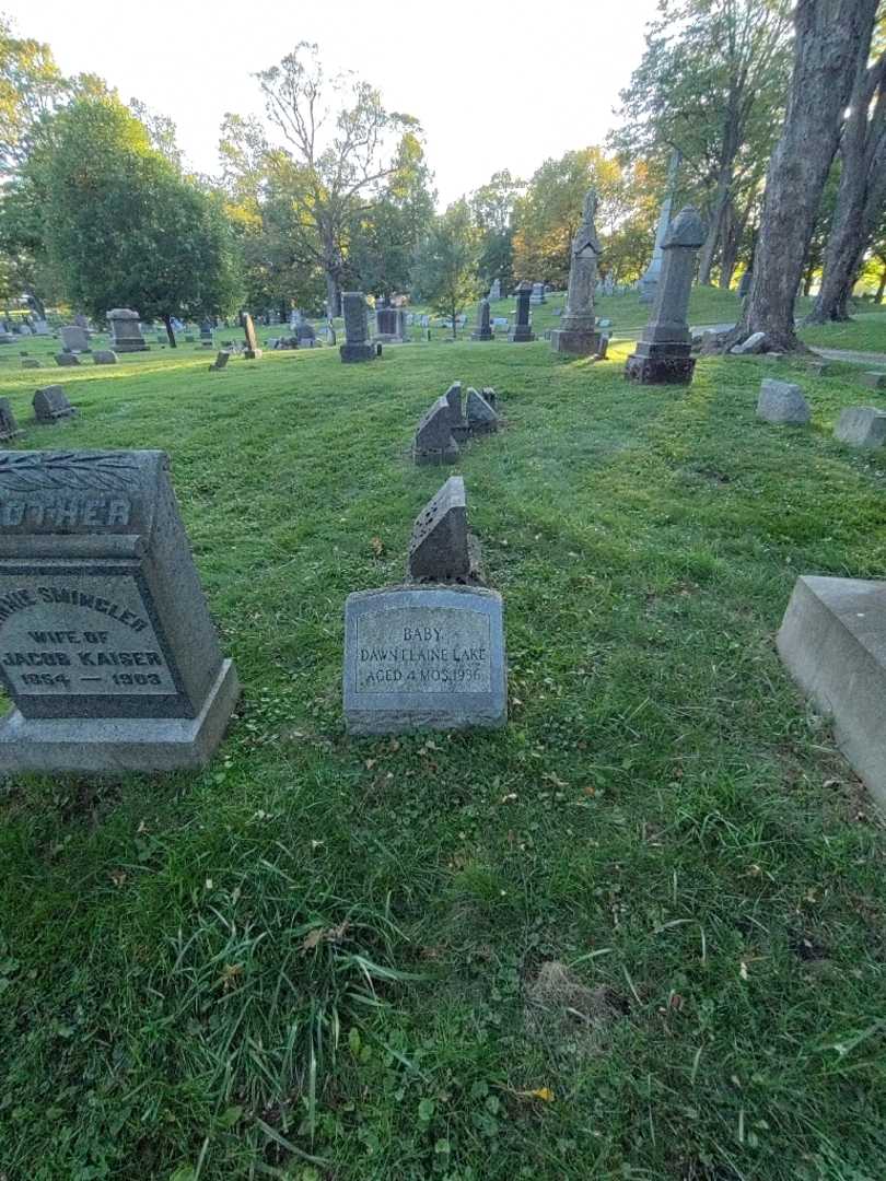 Dawn Elaine Lake's grave. Photo 1