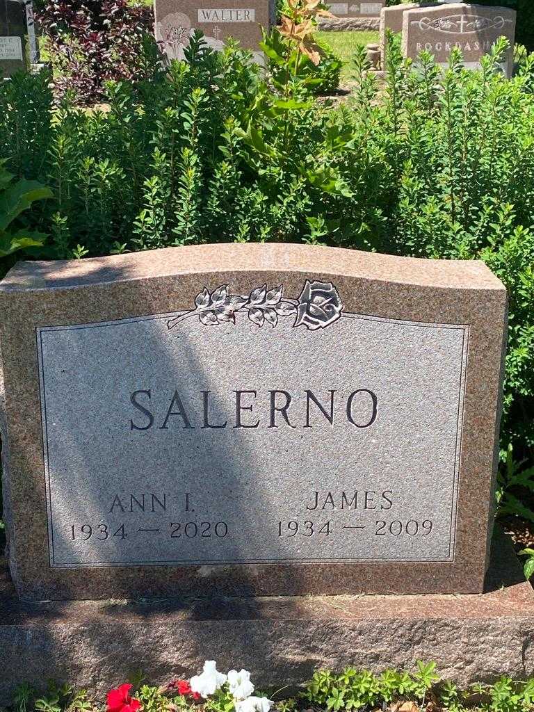 James Salerno's grave. Photo 3