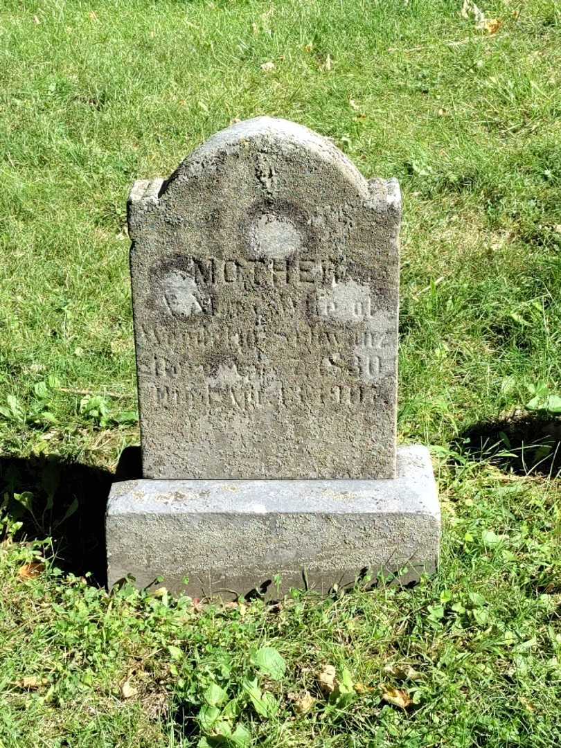 Anna M. Schwanz's grave. Photo 3