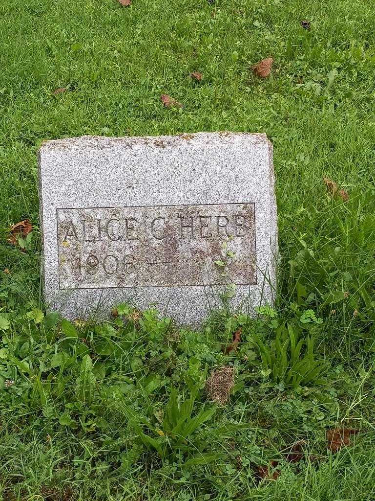 Alice C. Herb's grave. Photo 3