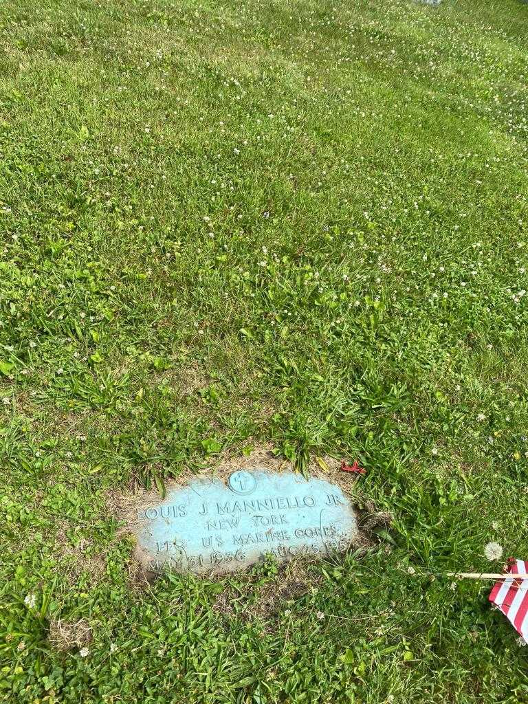Louis J. Manniello Junior's grave. Photo 2
