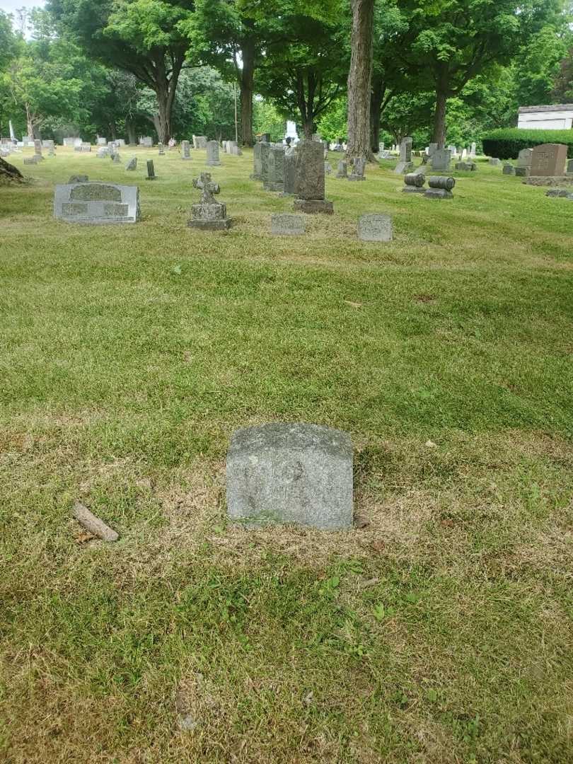 William J F Wiegand's grave. Photo 1