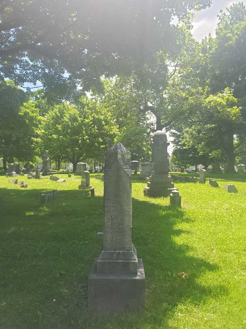 Charles Bayer's grave. Photo 2