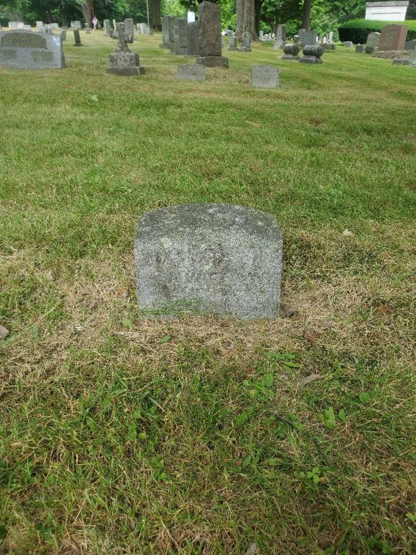 William J F Wiegand's grave. Photo 11