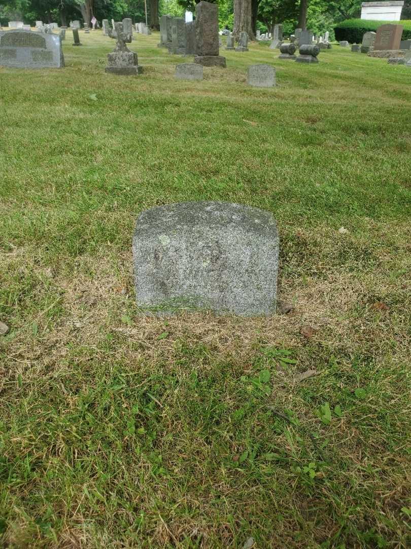 William J F Wiegand's grave. Photo 2