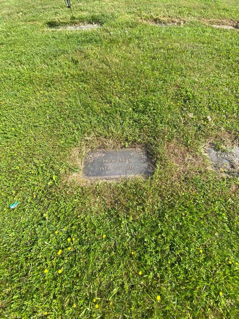 Ngoc Van Tran's grave. Photo 1