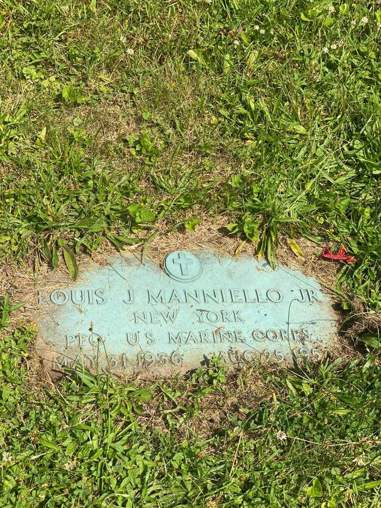 Louis J. Manniello Junior's grave. Photo 3
