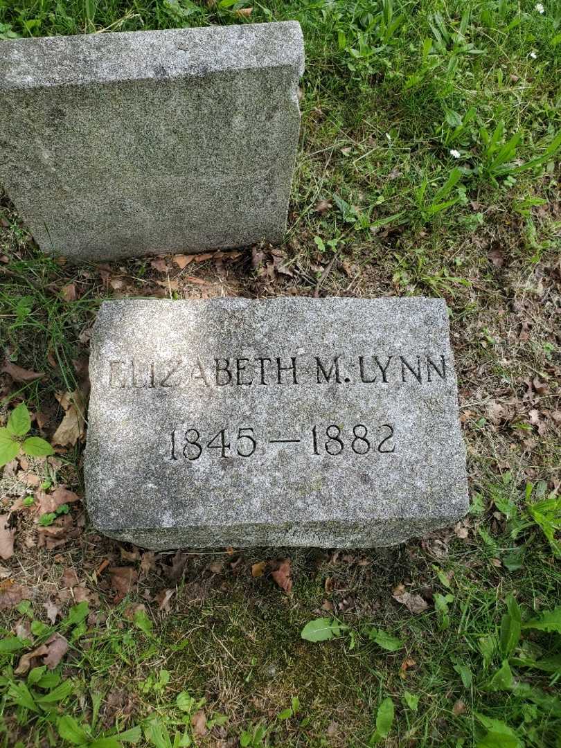 William G. Lynn's grave. Photo 1