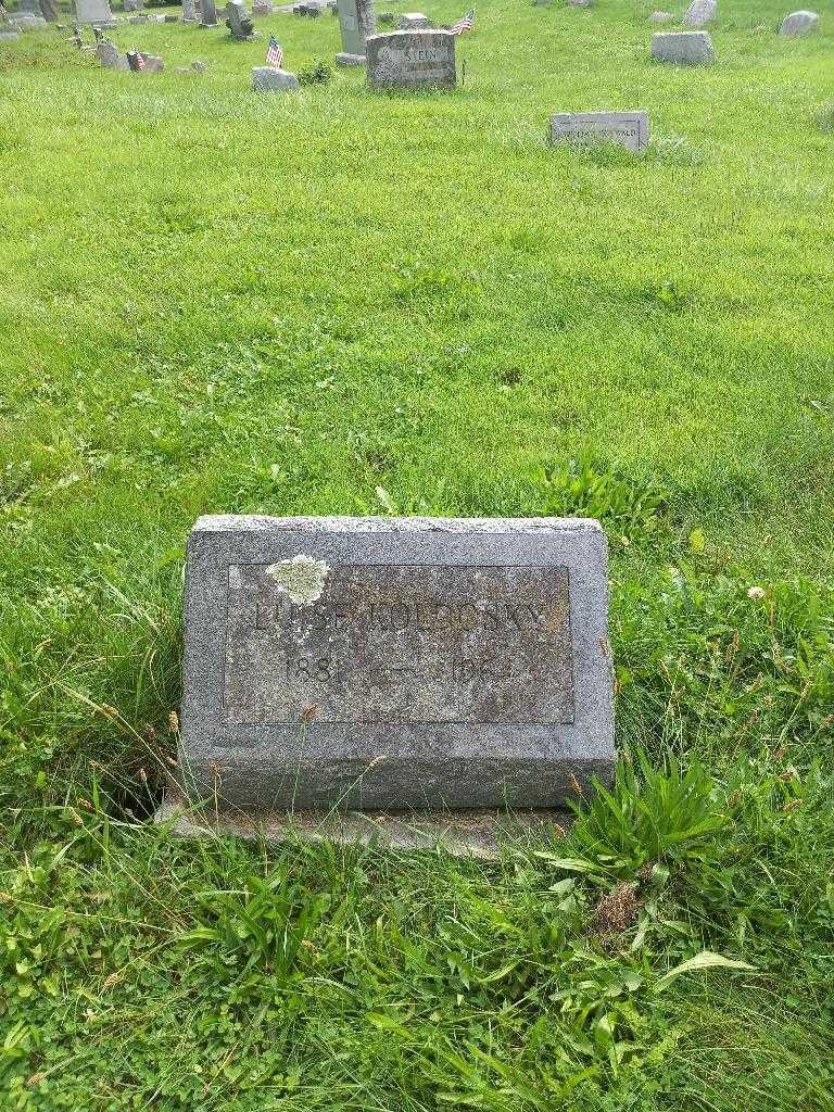 Luise Schwald Koldosky's grave. Photo 3