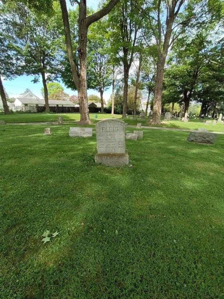 Hermina Fleig's grave. Photo 1