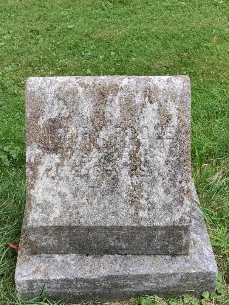 Henry Poole's grave. Photo 3