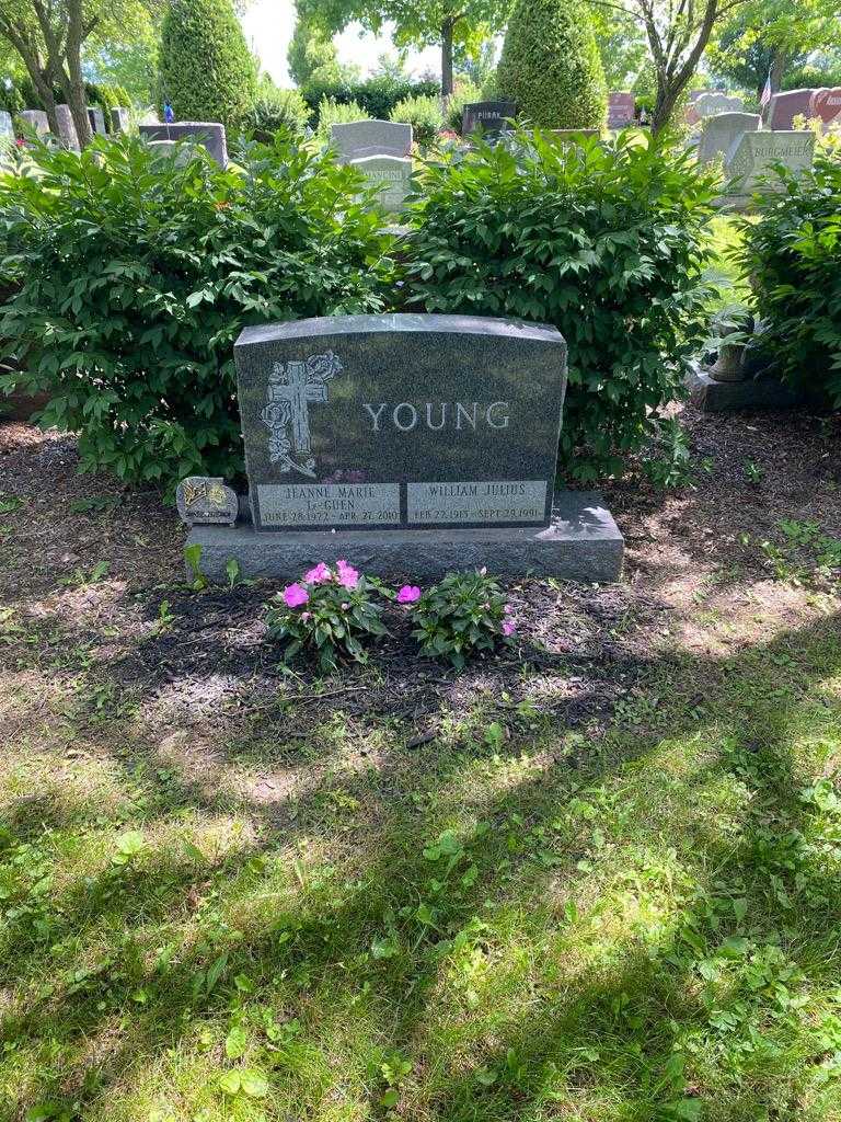 William Julius Young's grave. Photo 2