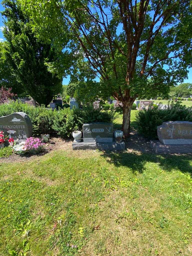 Grady G. Cheeks's grave. Photo 1