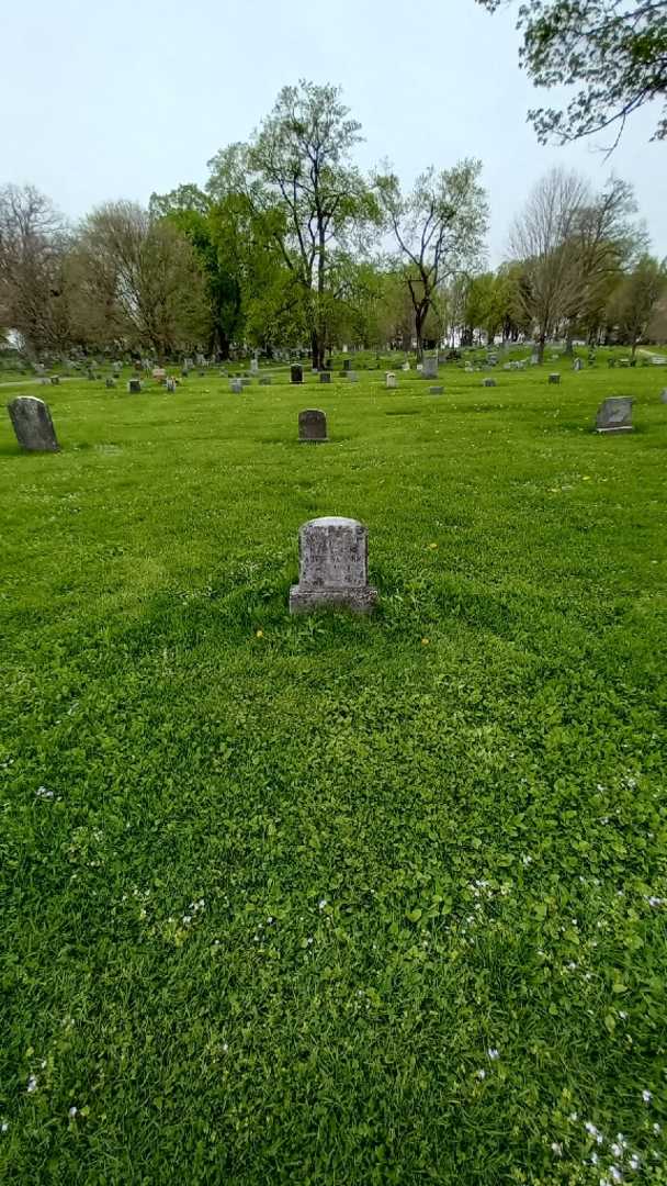 Henry Leroy's grave. Photo 1