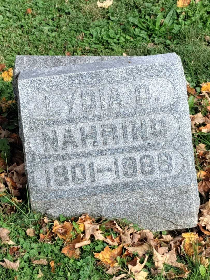 Lydia D. Nahring's grave. Photo 3