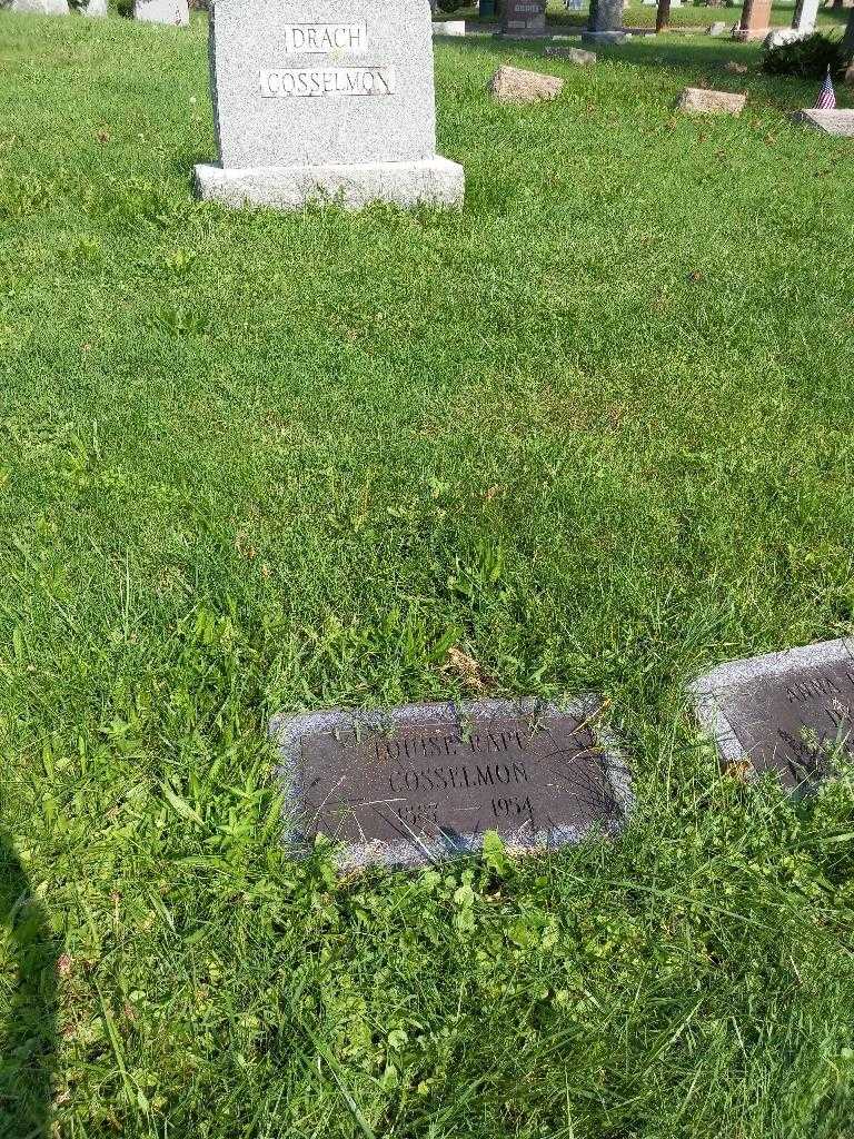 Louise Rapp Cosselmon's grave. Photo 1