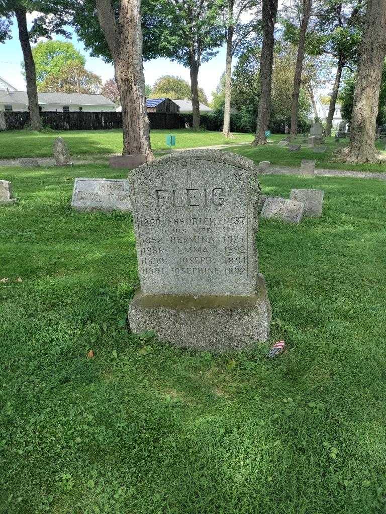 Hermina Fleig's grave. Photo 2