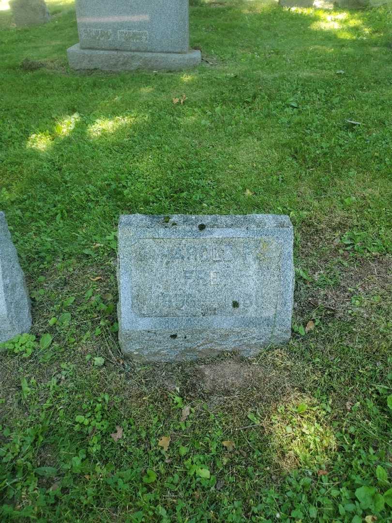 Harold F. Frey's grave. Photo 2