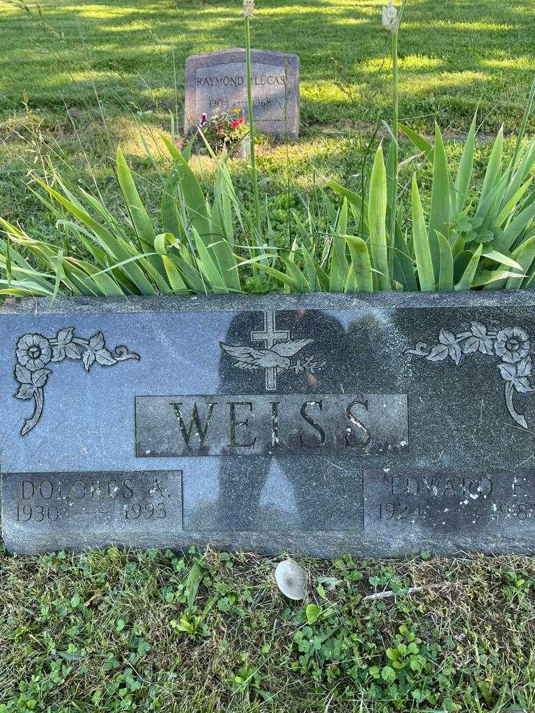 Edward F. Weiss's grave. Photo 3