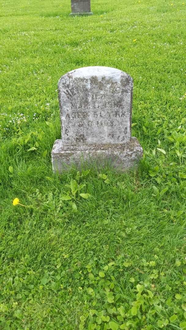 Henry Leroy's grave. Photo 2