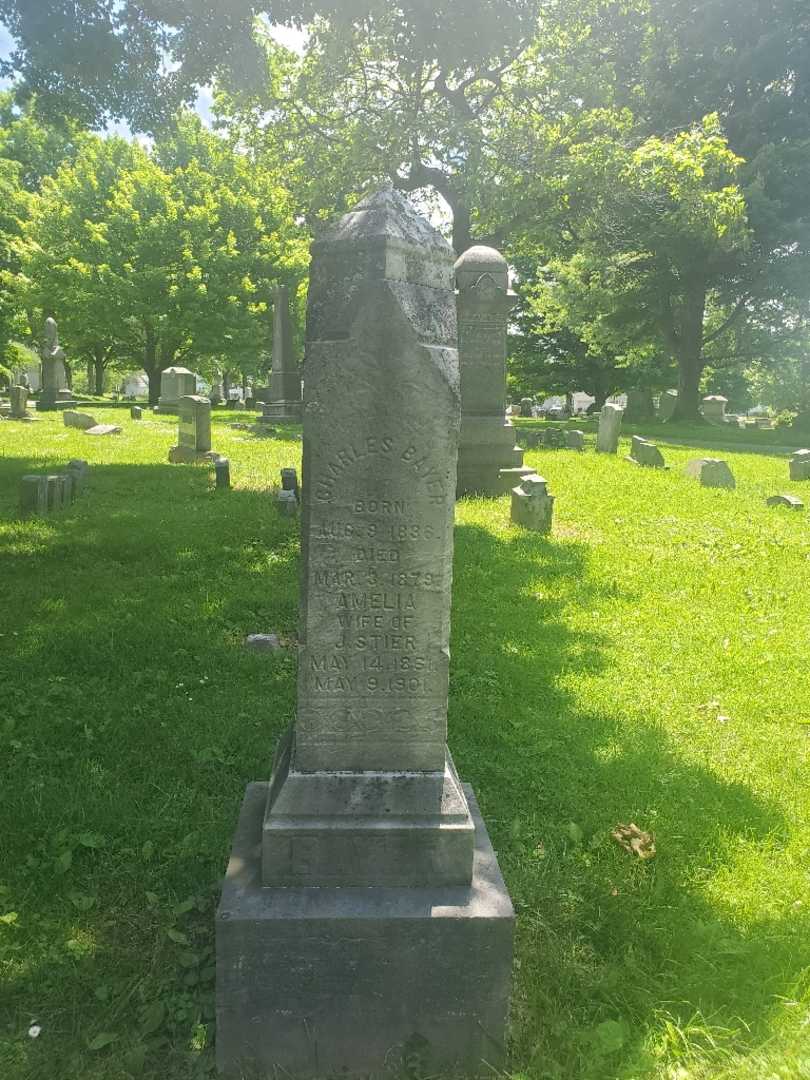 Amelia Stier's grave. Photo 3