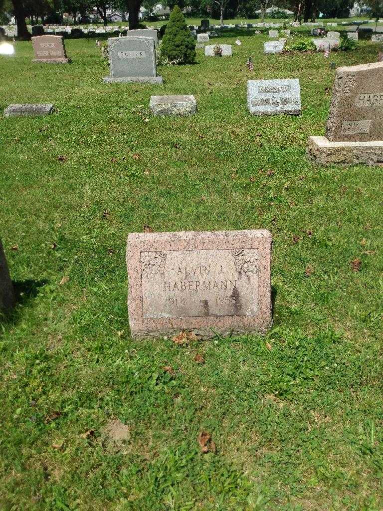 Alvin J. Habermann's grave. Photo 1