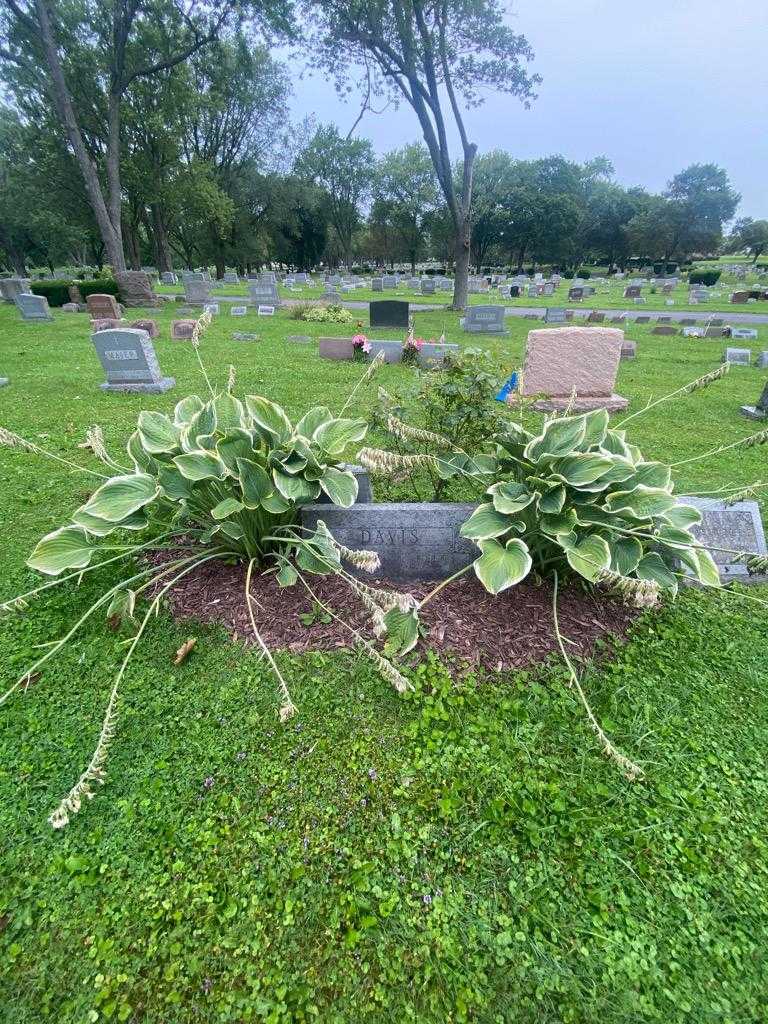 Robert J. Davis's grave. Photo 1