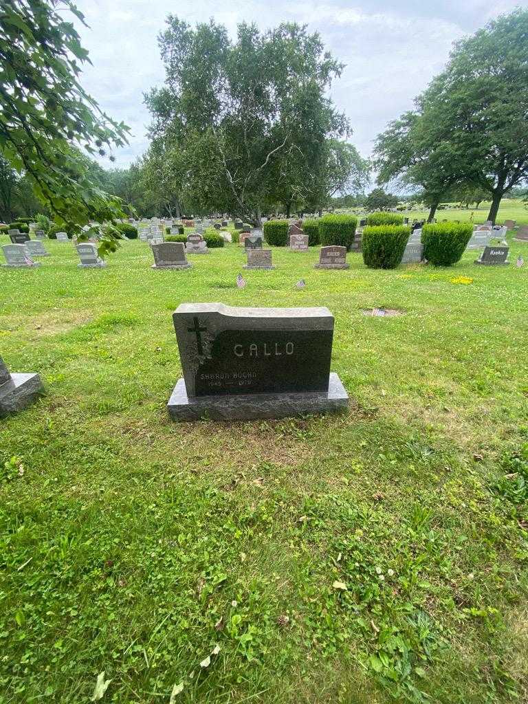 Sharon Gallo Hogan's grave. Photo 1