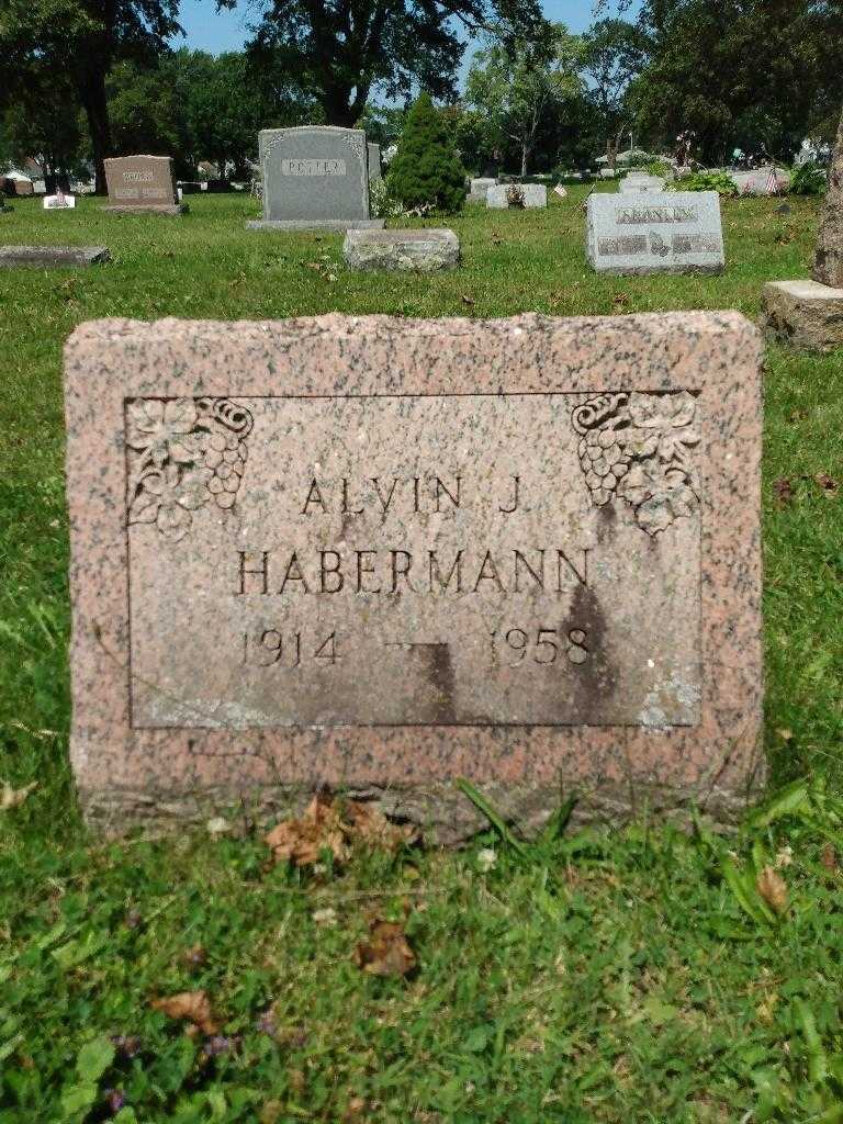 Alvin J. Habermann's grave. Photo 2