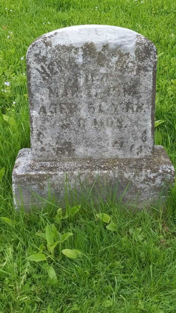 Henry Leroy's grave. Photo 3