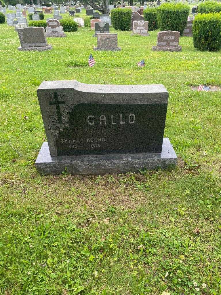 Sharon Gallo Hogan's grave. Photo 2