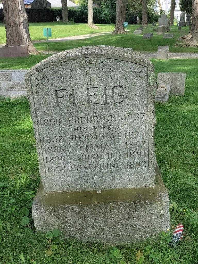 Hermina Fleig's grave. Photo 3