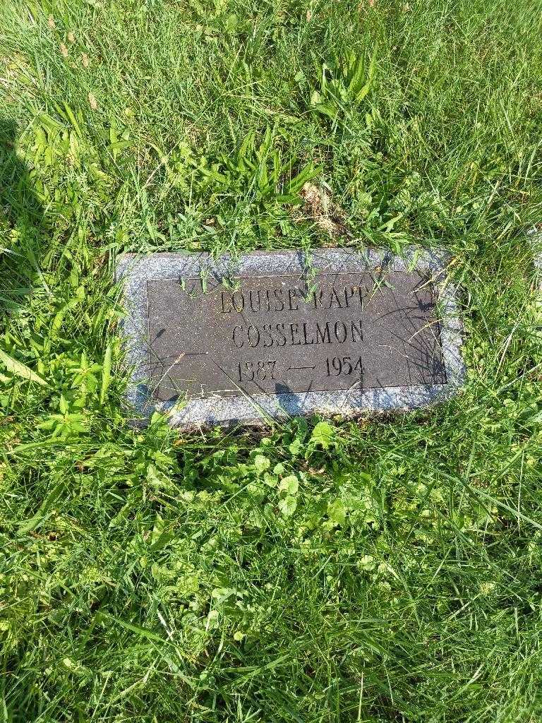 Louise Rapp Cosselmon's grave. Photo 2