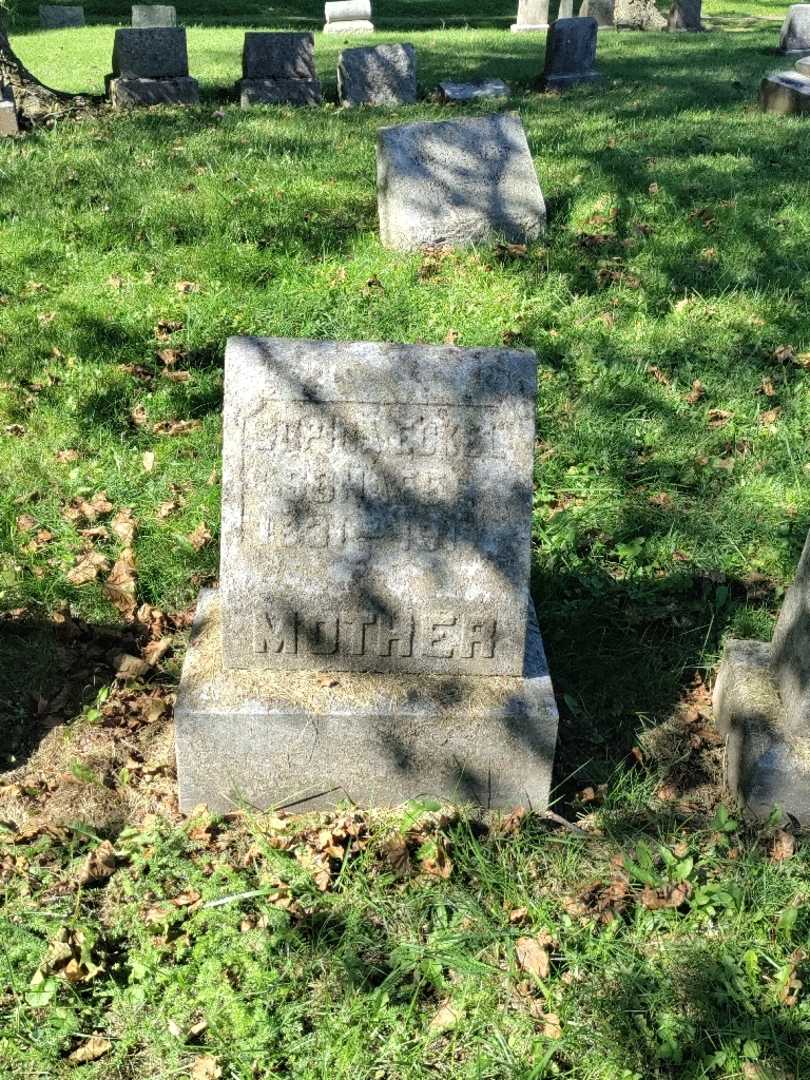 Sophia Eckel Schafer's grave. Photo 2
