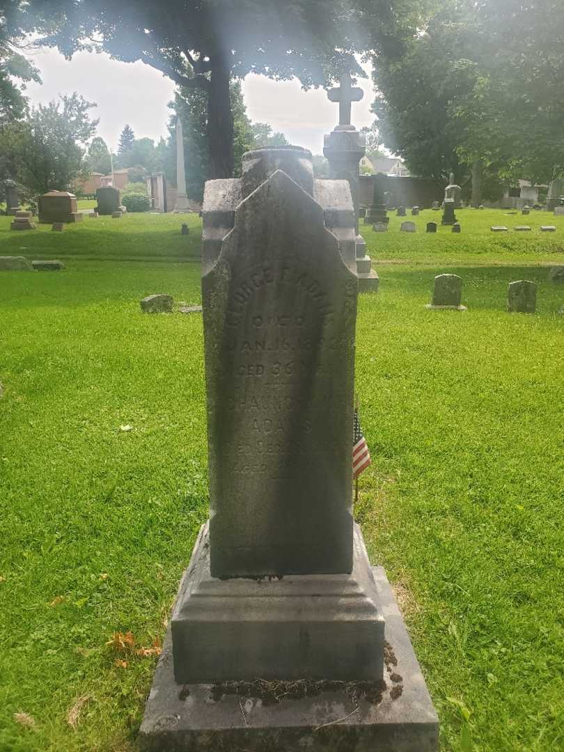 George F. Adams's grave. Photo 2