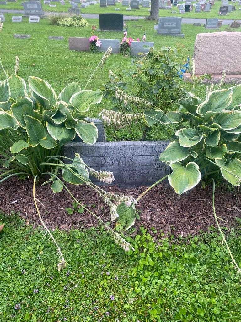 Robert J. Davis's grave. Photo 2