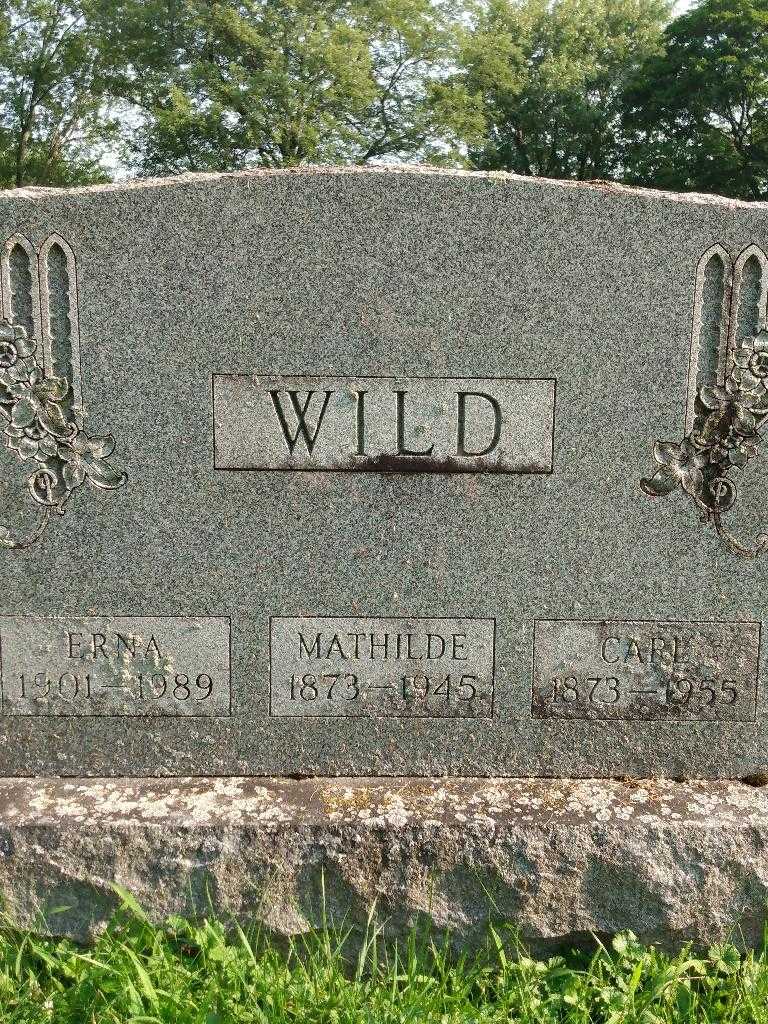 Carl Wild's grave. Photo 3