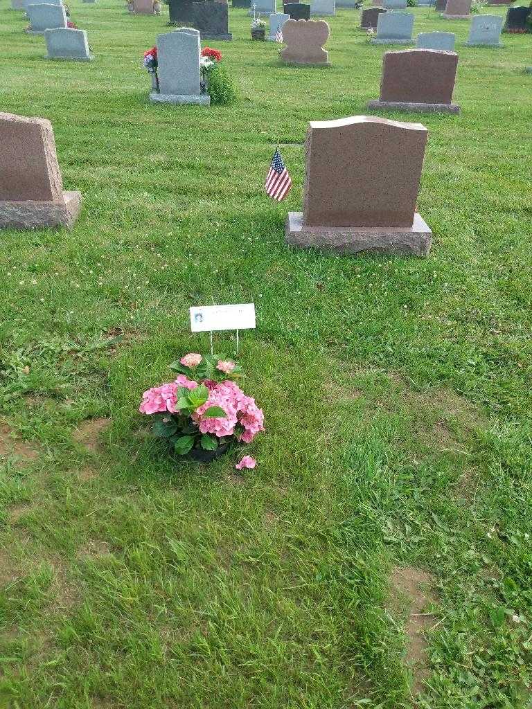 Genevieve C. Grillo's grave. Photo 2