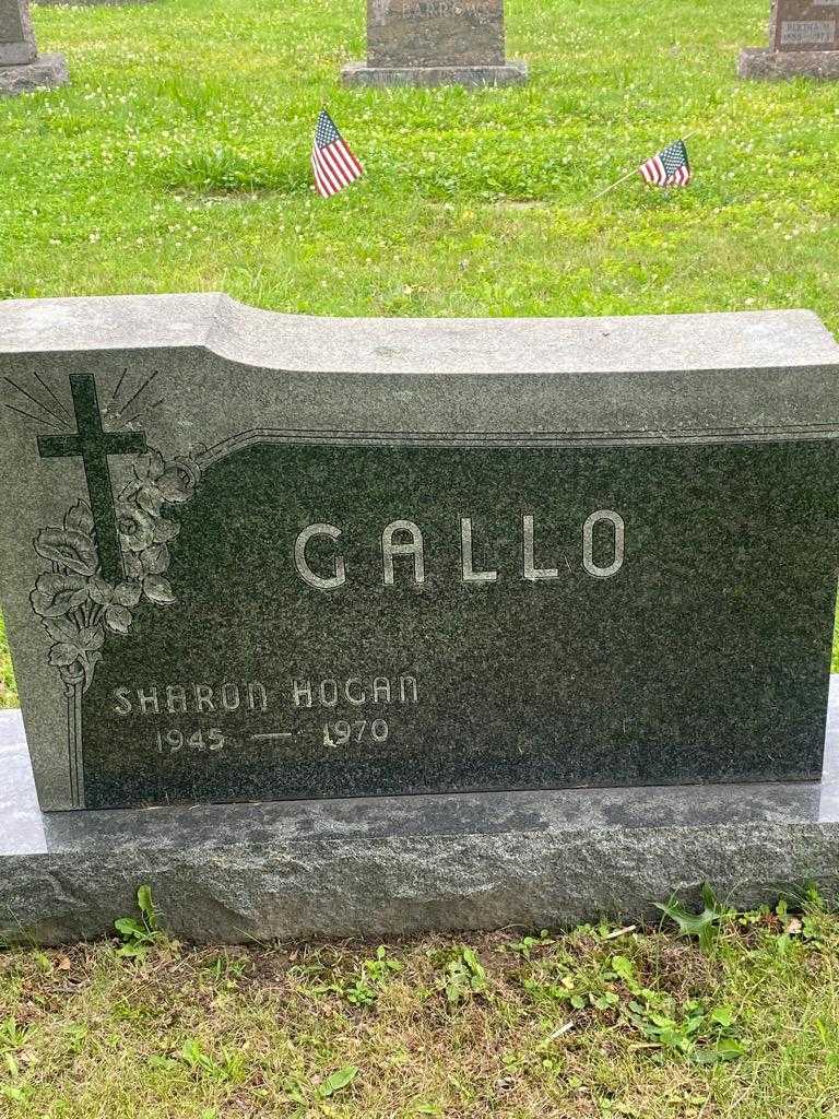 Sharon Gallo Hogan's grave. Photo 3