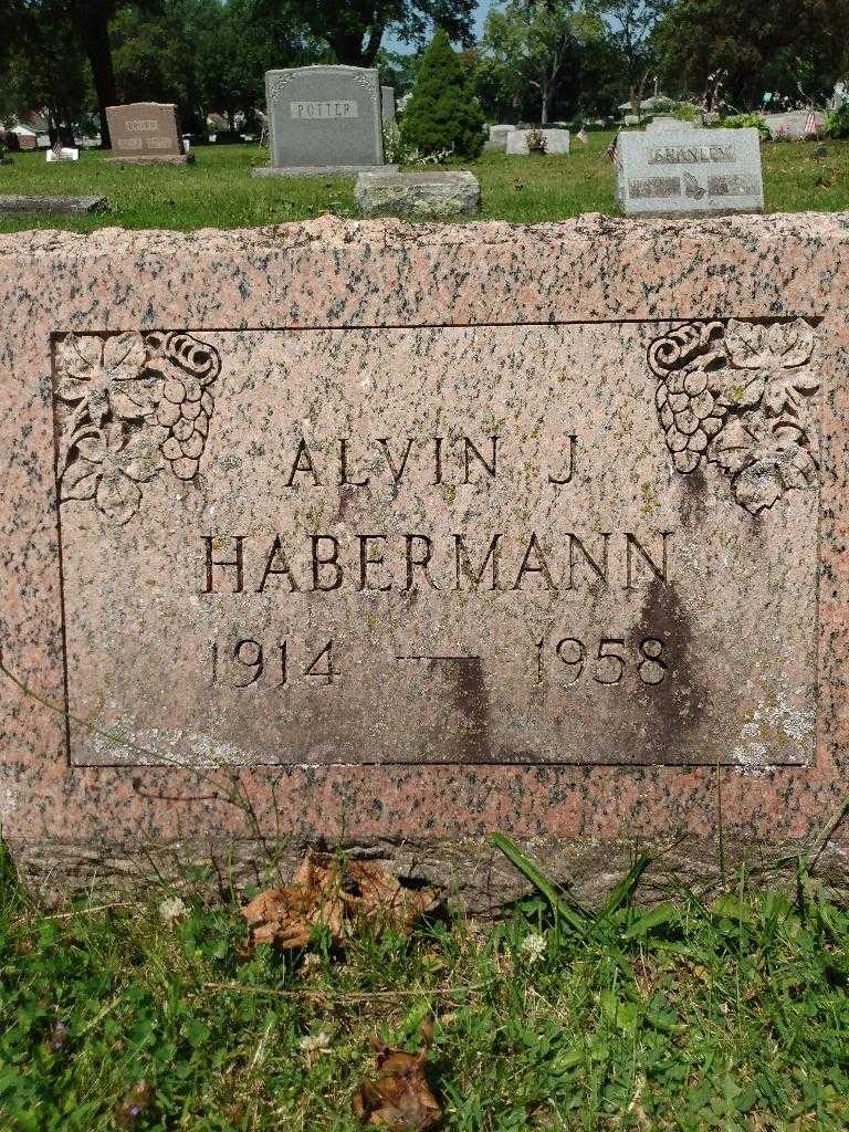 Alvin J. Habermann's grave. Photo 3