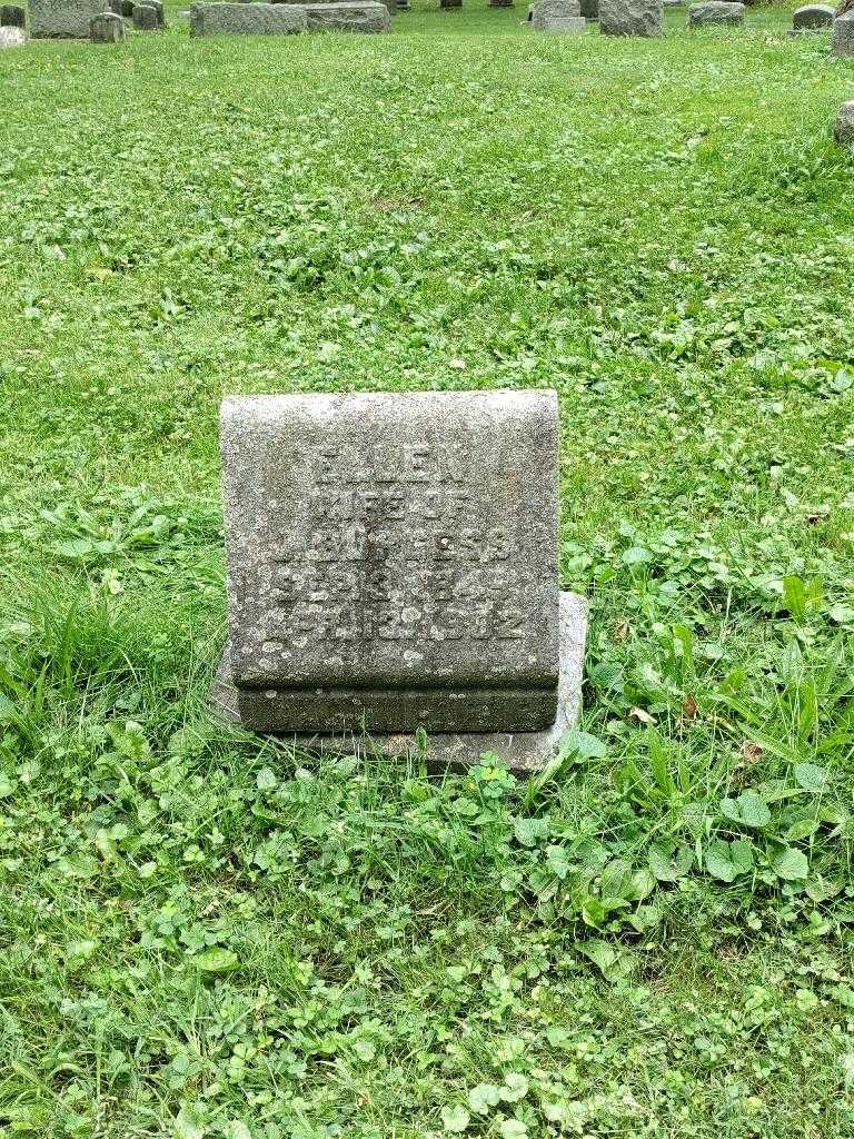 Ellen Jane Burgess's grave. Photo 2