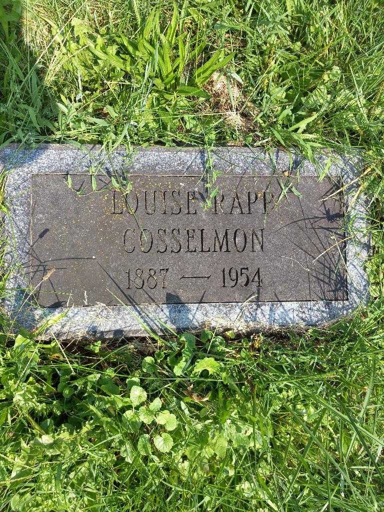 Louise Rapp Cosselmon's grave. Photo 3