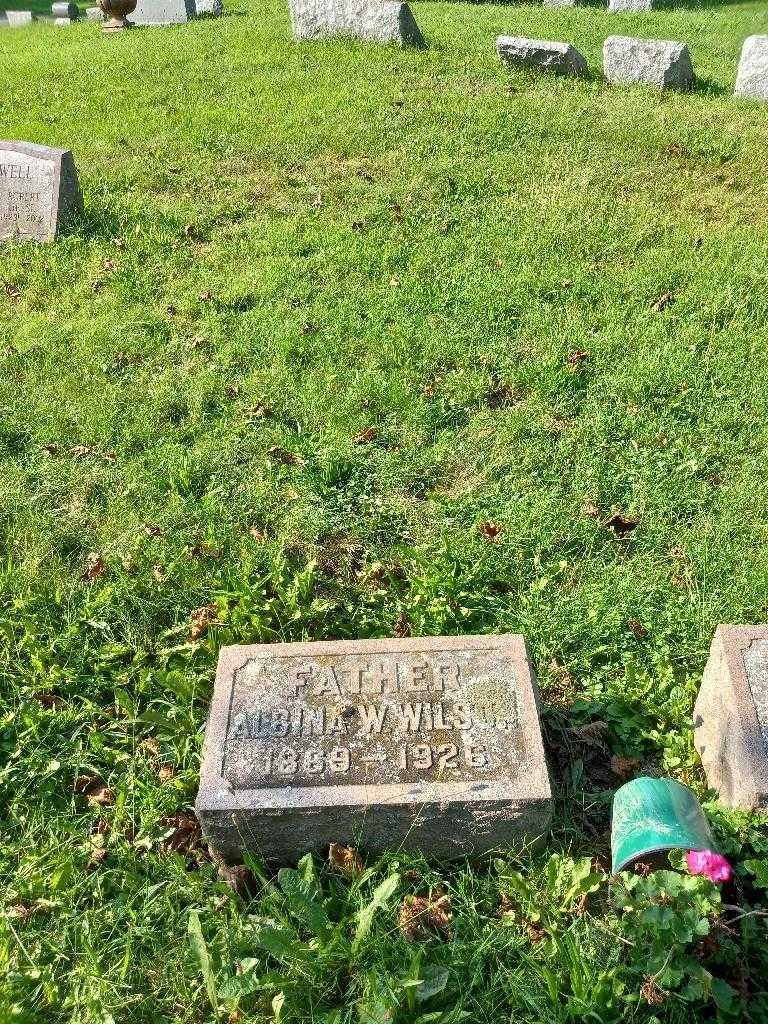 Albina W. Wilson's grave. Photo 3