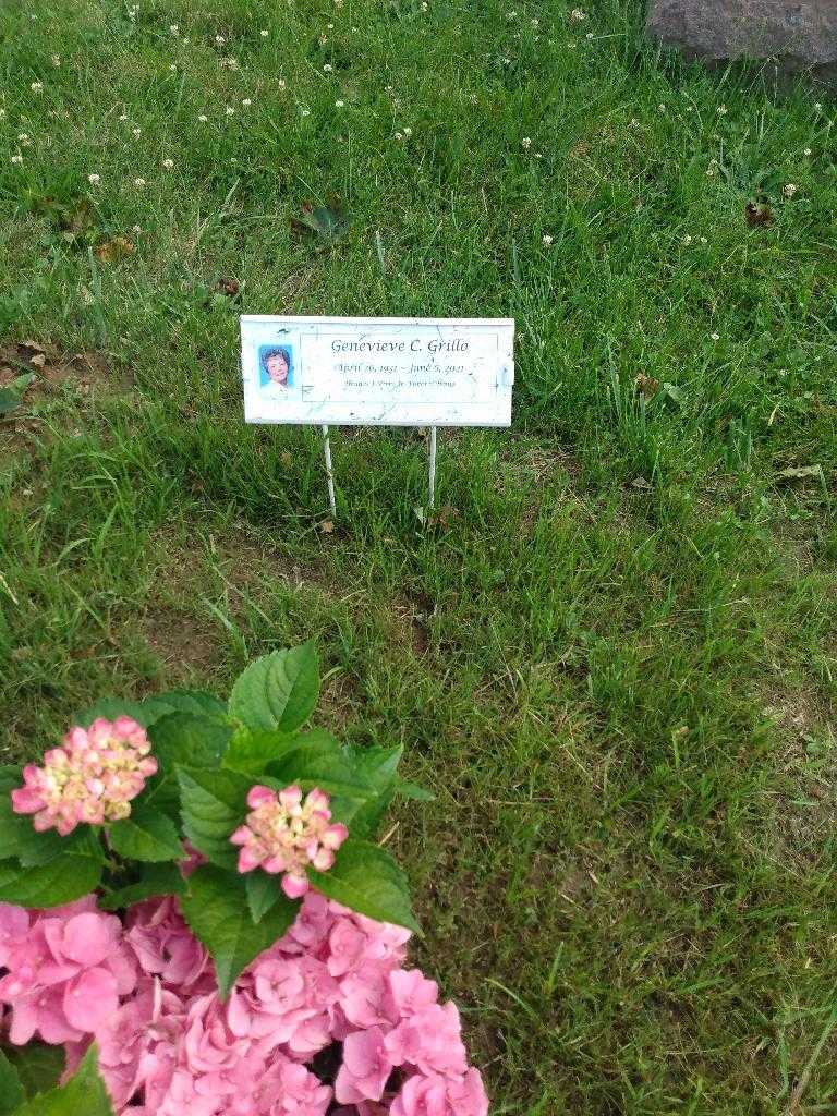 Genevieve C. Grillo's grave. Photo 3