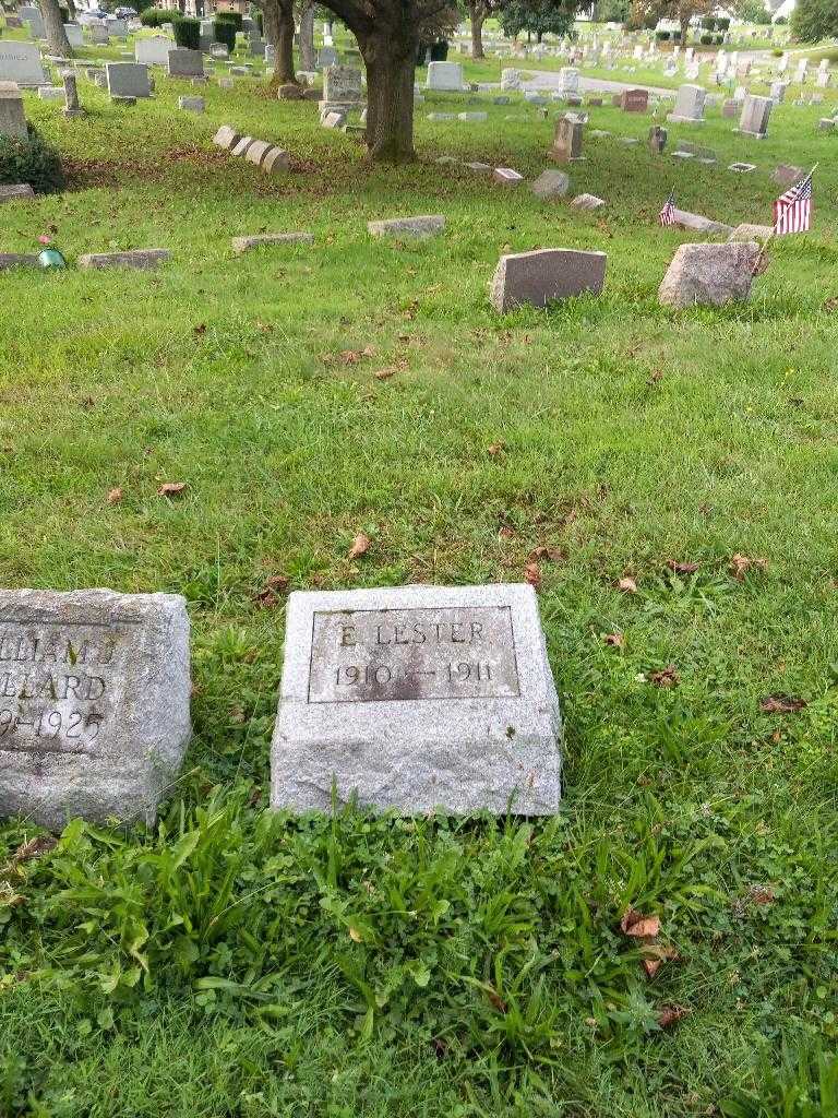 Edward Lester Eustace's grave. Photo 1