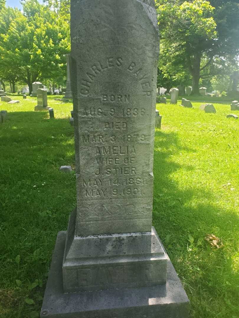 Charles Bayer's grave. Photo 4