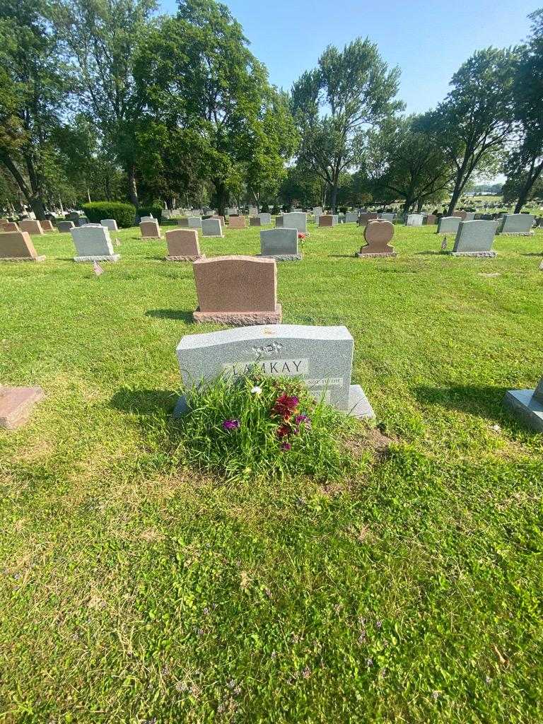 Allan Lamkay's grave. Photo 1